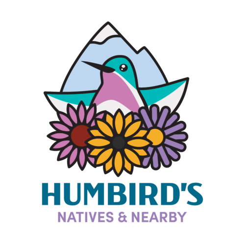 Humbirds_Color_Transparent